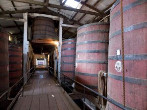 Bleasdale Winery (5)